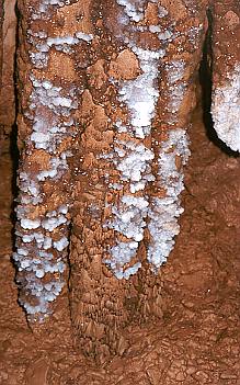White crystal crust on stalagtite[PSwart]